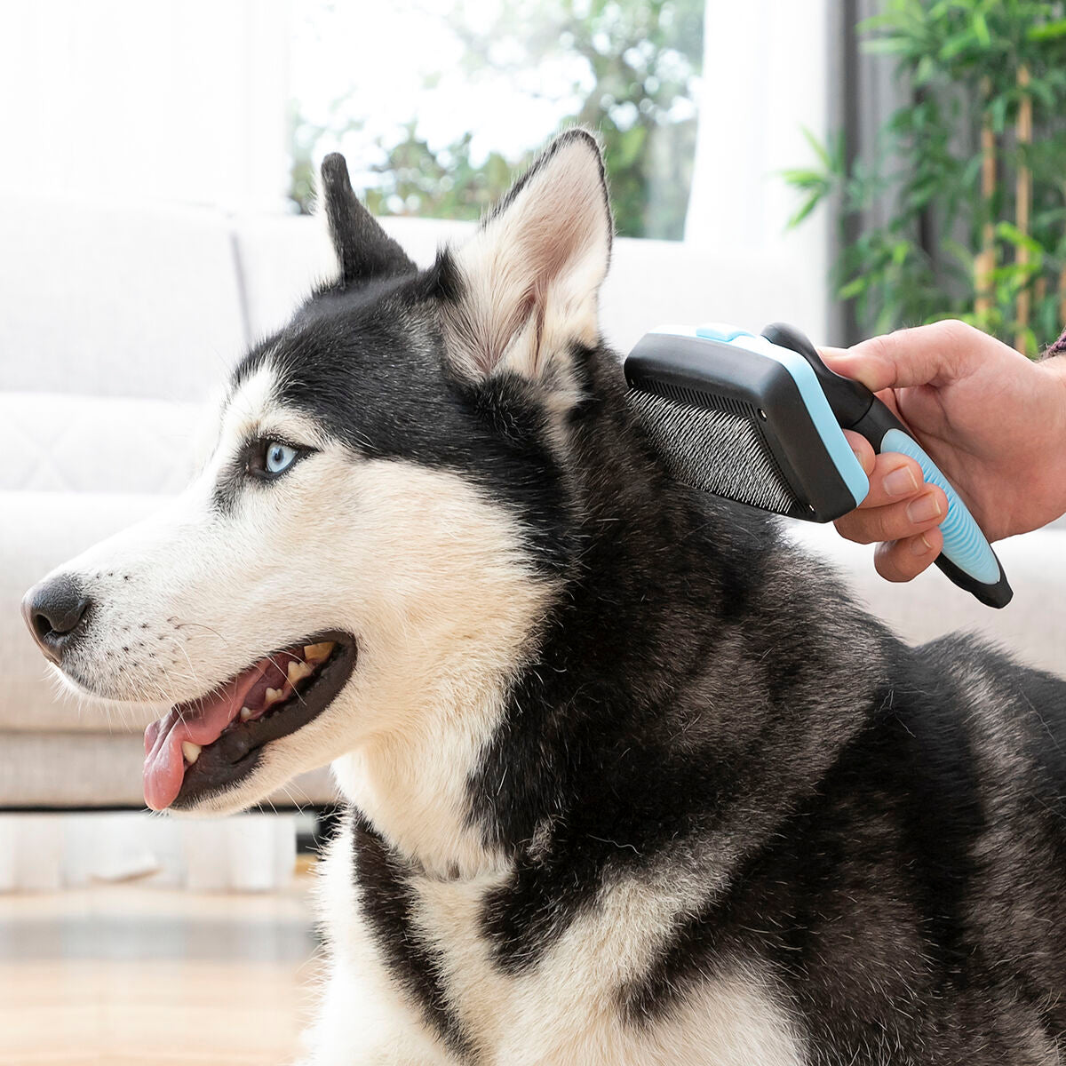 Cepillo de Limpieza para Mascotas con Púas Retráctiles Groombot InnovaGoods