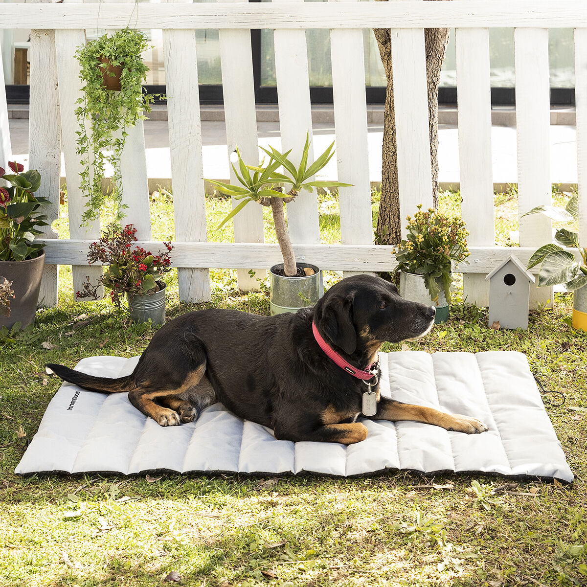 Cama Portátil Impermeable para Mascotas Huismat InnovaGoods